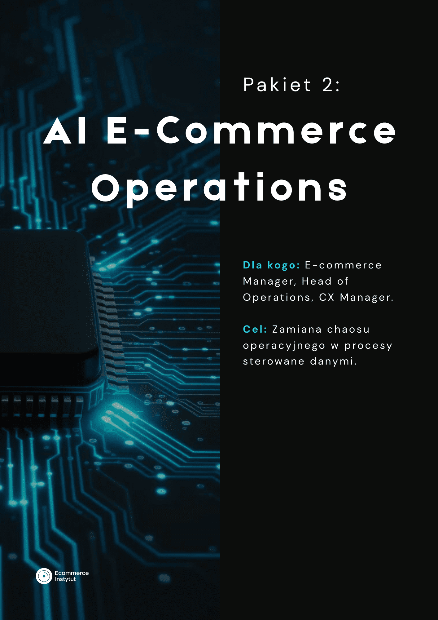 E-commerce AI - Operating System. Playbooki Implementacyjne - obrazek 2