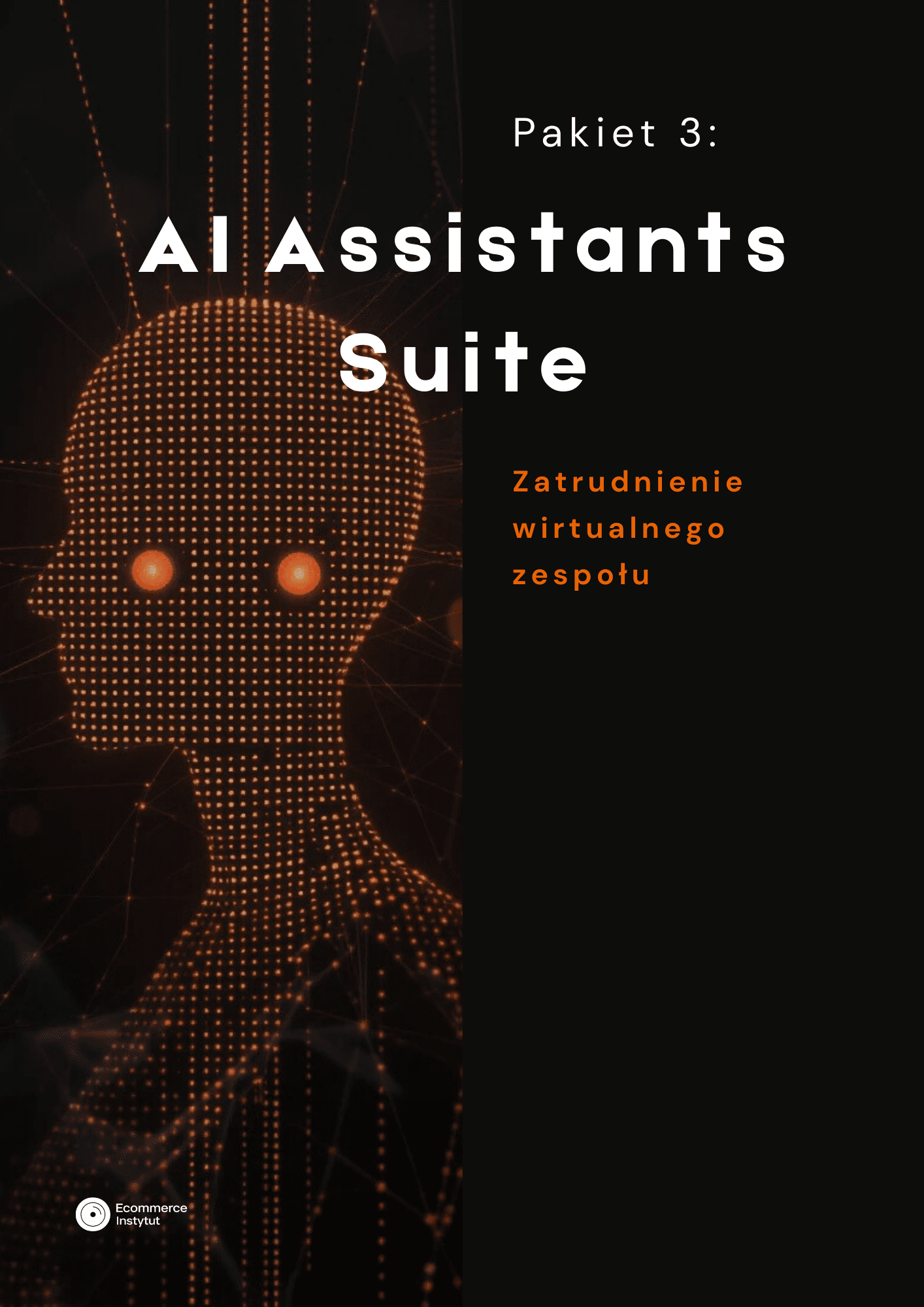 E-commerce AI - Operating System. Playbooki Implementacyjne - obrazek 4